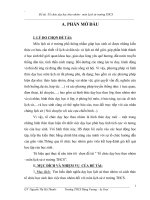 SKKN Lịch sư năm 2008-2009