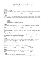 ĐỀ THI THỬ ĐH MÔN HÓA SỐ 2