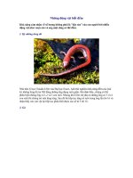 NHỮNG ĐỘNG VẬT BIẾT ĐẾM