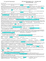 Đề Thi Thử tháng 6/2009 & Đáp án