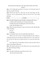 Đề thi, đáp án HSG Tiếng Việt 5 (Đề số 2)