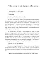 Trầm hương và loài cây tạo ra trầm hương 