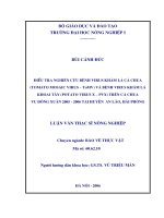 Điều tra nghiên cứu bệnh virus khảm lá cà chua (tomato mosaic virus  ToMV) và bệnh virus khảm lá khoai tây (potato virus x   PVX) trên cà chua vụ đông xuân 2005 2006 tại huyện an lão, hải phòng 