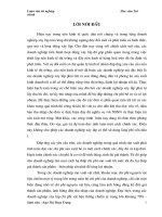 Kế toán NVL tại Công ty cổ phần thiết bị vật tư nông sản