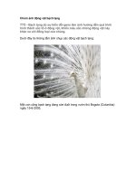 động vật bạch tạng