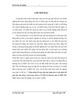 Hoàn thiện kế toán tiêu thụ hàng hoá và xác định kết quả tiêu thụ hàng  hoá trong công ty CP đầu tư thương mại và BĐS Tân Việt