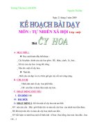TNXH:bài cây hoa
