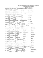 Đề kiểm định HSG Tiếng Anh 6