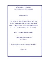 Côn trùng ký sinh sâu khoang hại trên đậu tương; nghiên cứu đặc điểm sinh học   sinh thái của ong microplitis manilae ashmead ( hymenoptera, braconidae) vụ xuân 2007 tại gia lâm   hà nội 
