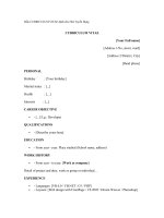 Mẫu CURRICULUM VITAE dành cho nhà tuyển dụng 
