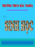 Tác động của con người đối với môi trường