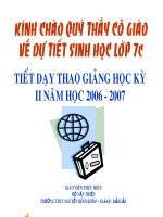 cây PS giới ĐV