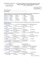 Đê Thi T.Anh TN-THPT-09_m246