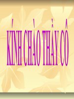 Văn học địa phương (tiếng việt)