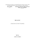 MẪU ĐIỀU LỆ MẪU ÁP DỤNG CHO CÁC CÔNG TY ĐẠI CHÚNG