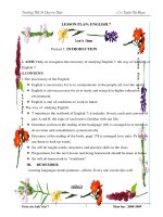 Giáo án Anh 7 (08-09)