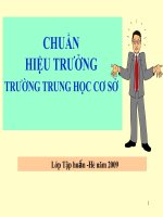 Chuẩn Hiệu Trưởng THCS gồm ???