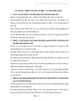 SỰ PHÁT TRIỂN KINH tế học VI mô HIỆN đại