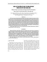 KHảO SáT ảNH HƯởNG CủA MộT Số CHủNG NấM MEN TRONG SảN XUấT VANG THANH LONG  