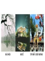 VIỆT NAM QUÊ HƯƠNG TÔI