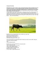 TẢN MẠN VỀ CON TRÂU.