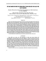 KẾT QUẢ NGHIÊN CỨU MỘT SỐ CHỦNG NẤM KÝ SINH TRÊN RỆP SÁP HẠI CÀ PHÊ TẠI TÂY NGUYÊN