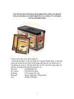 XÂY DỰNG bản kế HOẠCH MARKETING CHO sản PHẨM VINACAFE hòa TAN ĐEN hộp PS của CÔNG TY cổ PHẦN VINACAFE BIÊN hòa 