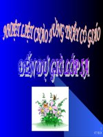 thi gv gioi cap quan- mo rong von tu bao ve moi truong.ppt