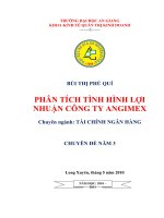 PHÂN TÍCH TÌNH HÌNH lợi NHUẬN CÔNG TY ANGIMEX 