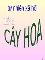 tnxh .BÀI CÂ HOA