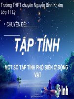 tap tinh