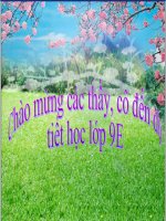 Giáo án cưc hay thi GVDG vào vòng Thành phố.Tiết 28;Thường biến