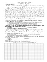 đề thi Tiếng Việt 4