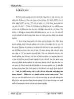“Phân tích ảnh hưởng của cơ cấu vốn tới hiệu quả hoạt động của doanh nghiệp _ Phân tích các doanh nghiệp ngành ngân hàng”. 