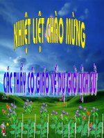 Tiết 43: Trào lưu cải cách Duy Tân ở Việt Nam nửa cuối thế kỉ XIX