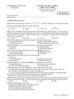 Đề thi thử Vật lý 2009 (483)