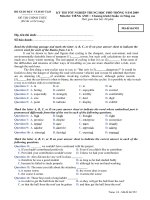 Đê Thi T.Anh TN-THPT-09_m952