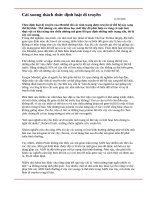 CẢI XOONG THÁCH THỨC ĐỊNH LUẬT DI TRUYỀN