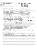 Kiểm tra VH9 (tuần 33)