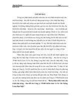 Hoàn thiện kiểm toán chu trình bán hàng – thu tiền do Công ty TNHH Kiểm toán và Tư vấn Thăng Long thực hiện”.