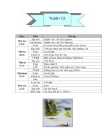 Giao an lop 3 - tuan 13(tk)