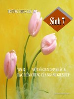 tiết 12-một số giun dẹp khác