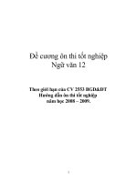 Giáo án ôn thi TNTHPT 08-09