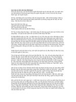 CON TRÂU VÀ NỀN VĂN HÓA VIỆT NAM.