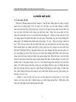 Sáng kiến kinh nghiệm toán