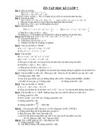 11 bài ôn tập học kì 2 lớp 7