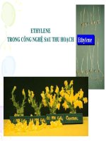 Bài giảng Công Nghệ Sau Thu Hoạch - Chương 2b