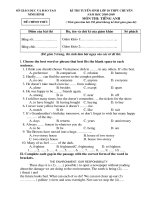 TS lớp 10 chuyên Ninh Bình 2008-2009 (Có hướng dẫn chấm)