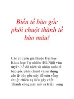 bien te bao goc phoi chuot thanh te bao mau