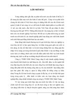 Đặc điểm tổ chức hạch toán kế toán tại công ty TNHH XNK Minh Trang.